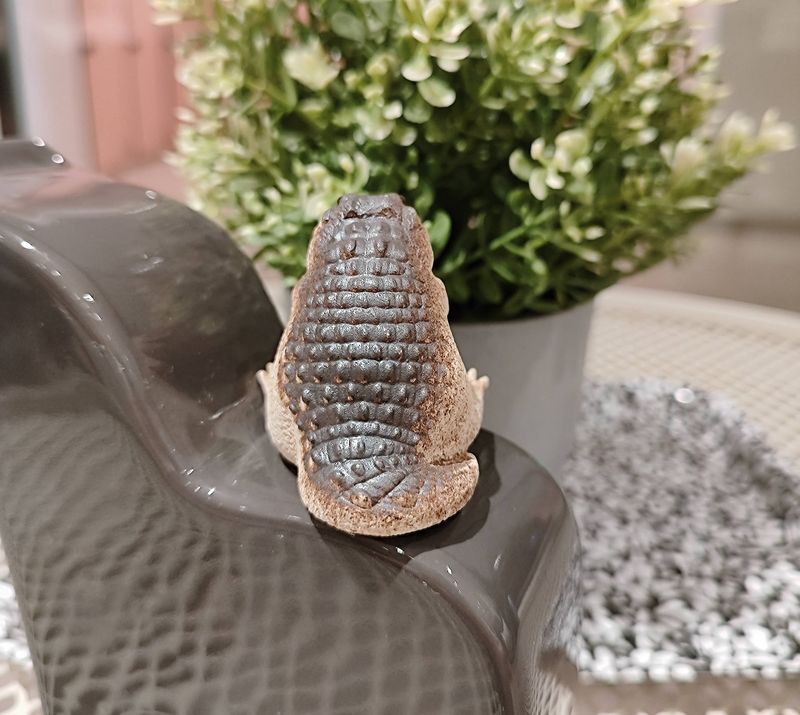 Chubby Little Crocodile Garden Ornaments Home Table Decoration Resin Craft Gift_voghion.com