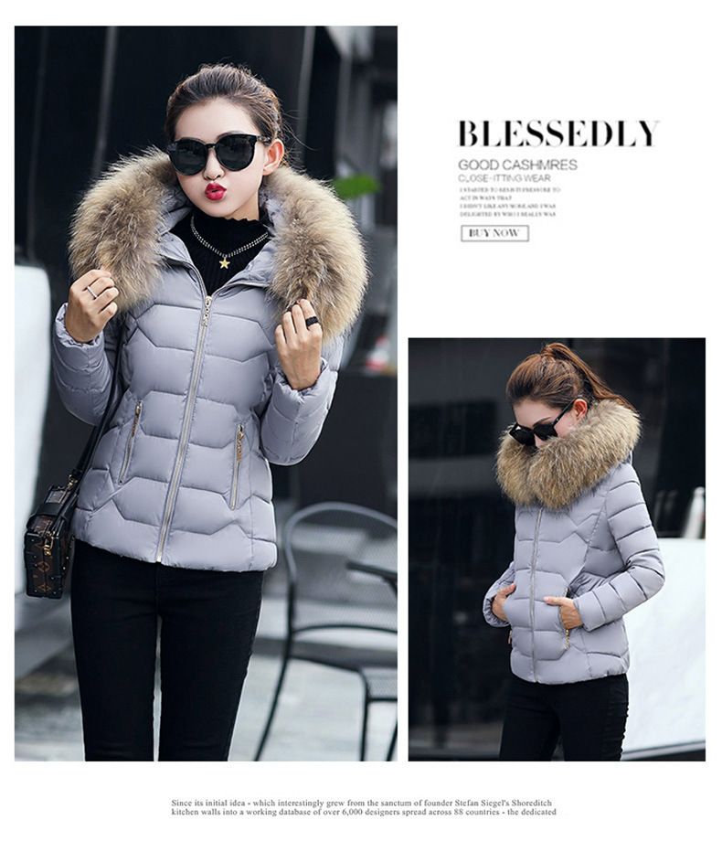 Damenbekleidung Neue Daunen-Baumwolljacke Damen Kurzer Herbst- und Winter-Baumwollmantel Damen Großer Pelzkragen Baumwolljacke_voghion.com