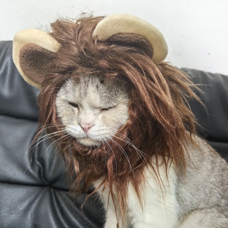 Copricapo Parrucca Cappello Animale Domestico Cane Cucciolo Gatto Costume Copricapo Leone_voghion.com