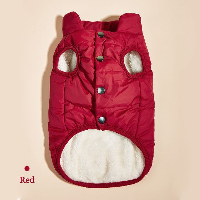 Winter Women's Warm Jacket With French Bulldog Lining Small And Medium Dogs, Soft Windproof Fabric Outfits For Labrador By PawParty Store_voghion.com