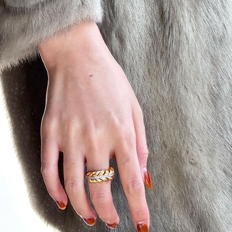 Niche Light Luxury Three-Dimensional Design Vintage Brushed Horn Bag Italian Inlaid Diamond Woven Feather Ring_voghion.com