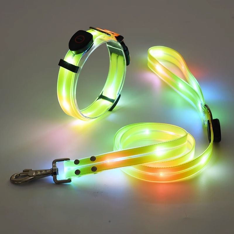 Coleira luminosa anti-perda para caminhada noturna com luz para cães_voghion.com