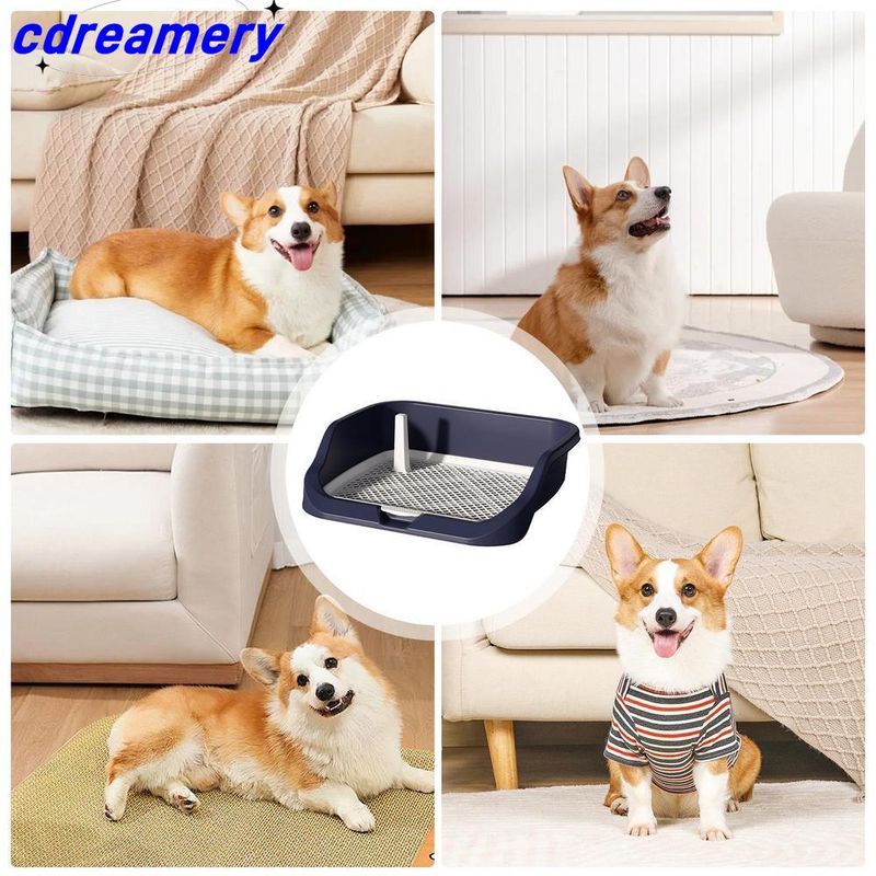 Trainingstoilette für Haustiere, Hundetoilette mit hohem Zaun, Trainingstoilette für Haustiere im Innenbereich und Urinpad-Gestell für das Training der hinteren Hundetoilette_voghion.com