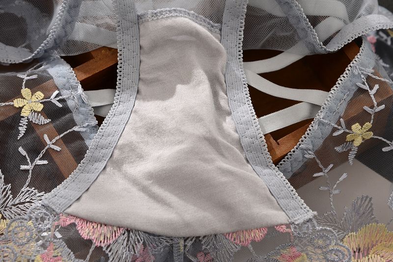 Women's Intimates Mesh Strap Jacket Hollow Cotton Crotch Panties_voghion.com