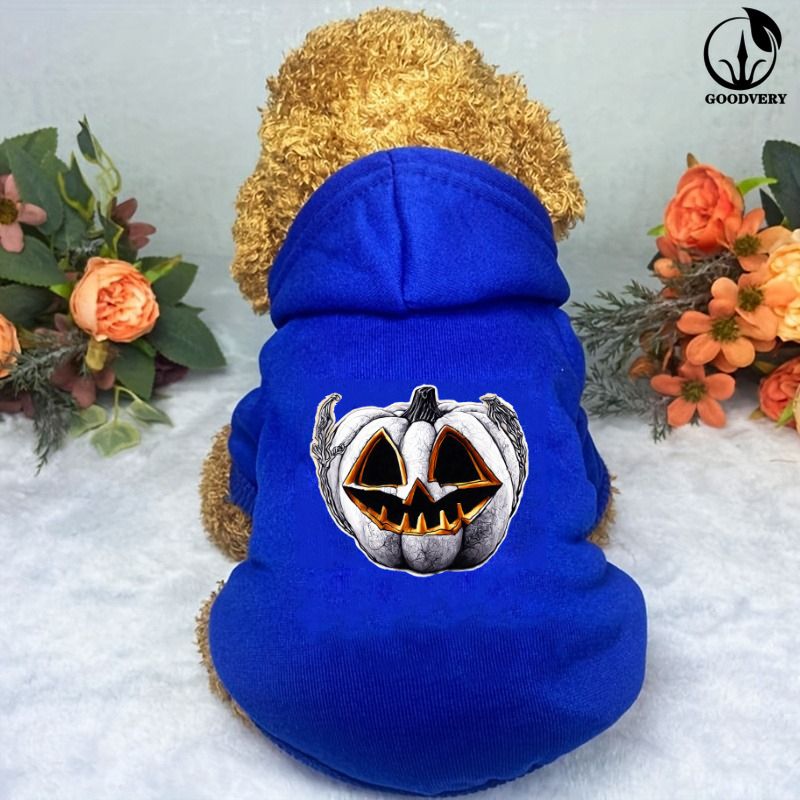 Tier-Känguru-Halloween-Kürbis-Designs, einfarbiger Pullover für Haustiere, passend für kleine/mittlere Haustiere, warmer Winterpullover, saisonale Haustierkleidung_voghion.com