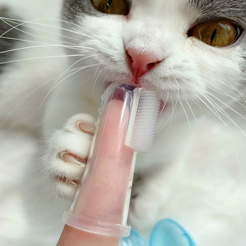 Toothbrush & Cat, Dog Toothbrush, Finger Brush For Pets Tooth Cleaning_voghion.com