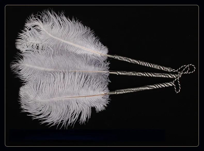 Frusta con piume per massaggio clitorideo, giocattoli per flirtare, bondage per adulti, giocattoli per coppie, sex shop_voghion.com