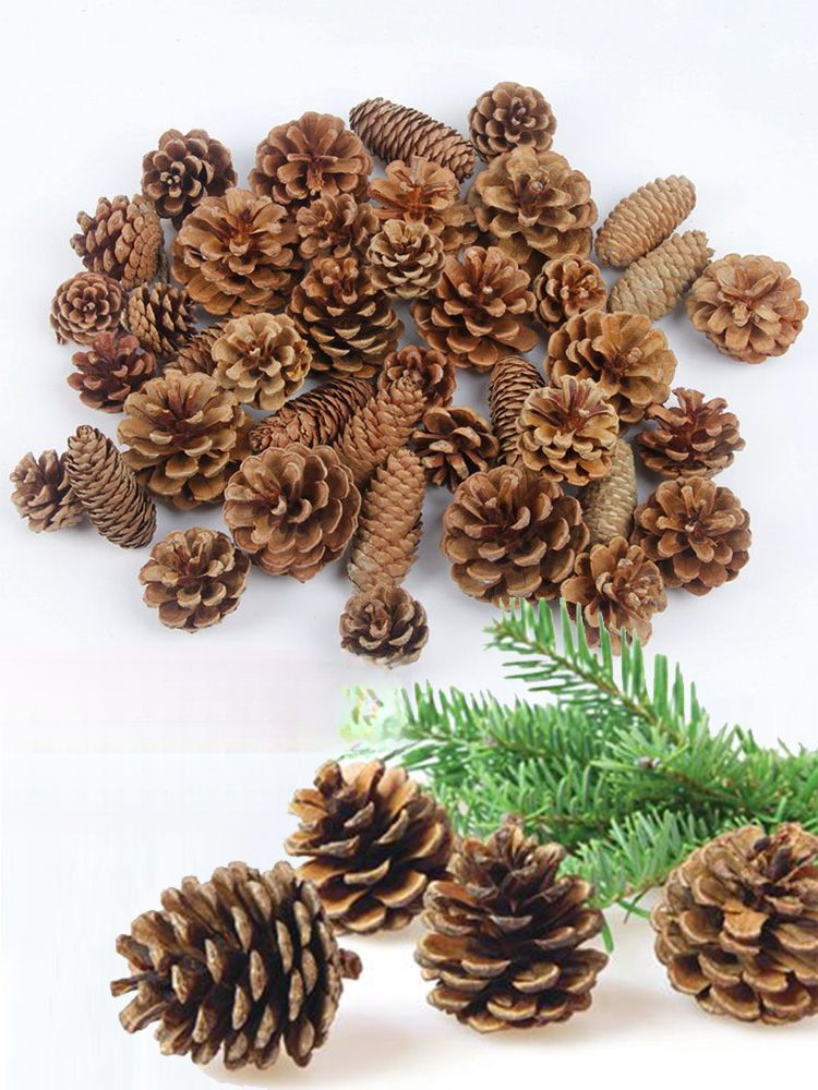 Decoration Pine Cone Acorn Flower Handmade DIY Forest Kindergarten Environmental Creation Dried Branches Wild Creative_voghion.com