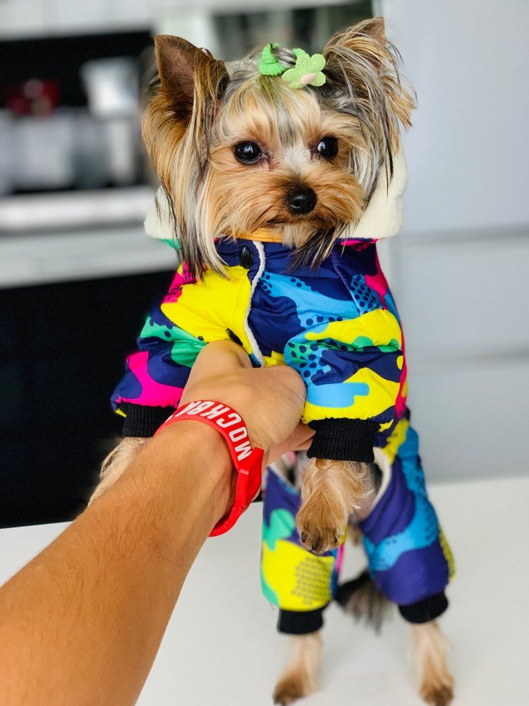 Ropa de invierno cálida e impermeable de camuflaje para perros pequeños, chaquetas para chihuahuas, trajes aislantes para yorkshire terrier, abrigos de PawParty Store._voghion.com