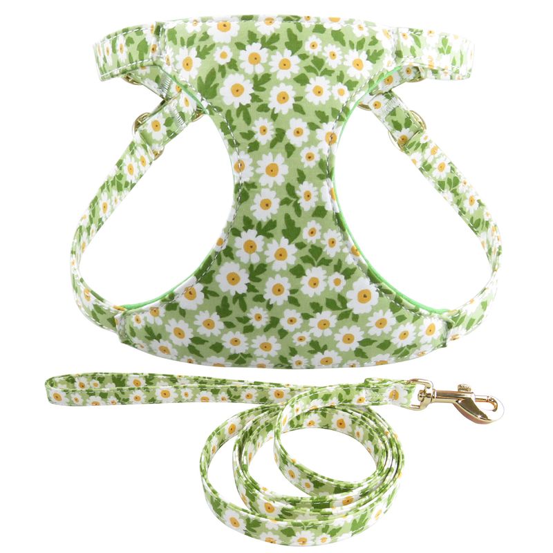 Harnais pour animaux de compagnie, gilet respirant et universel pour chats et chiens_voghion.com