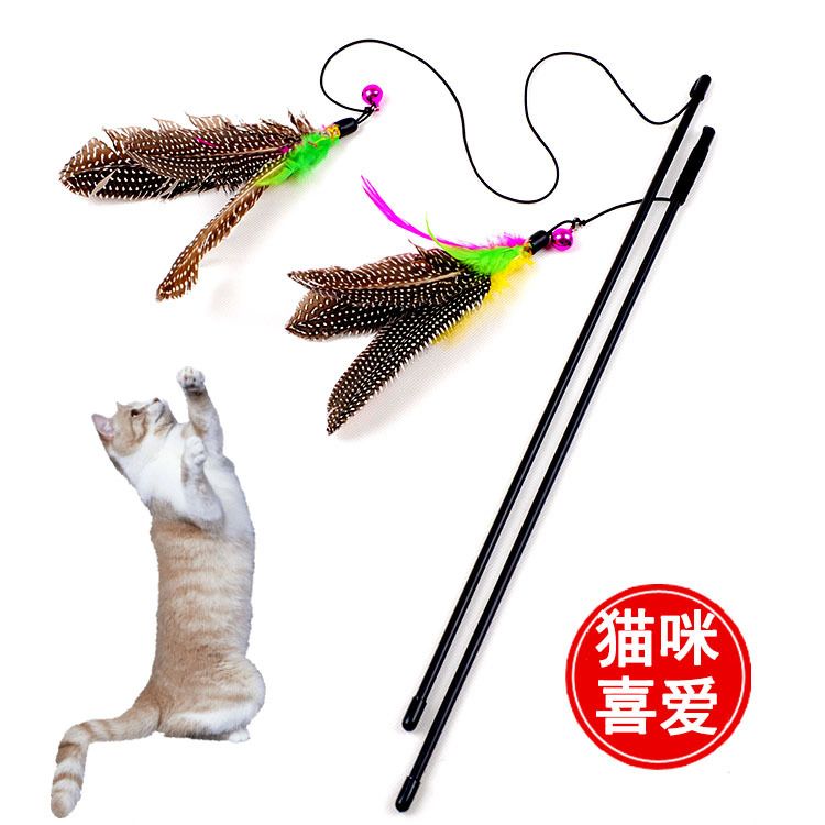 Pearl Feather Pet Toy Bell Teaser Wand Flying Bird Style_voghion.com