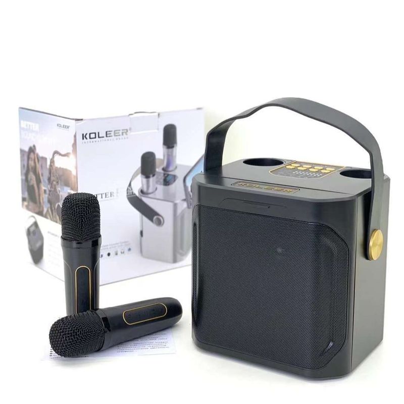 S882 Karaoke hine With Dual Microphones Change Voice Functions Portable Speaker Subwoofer TF Card U Disk Plaer For_voghion.com