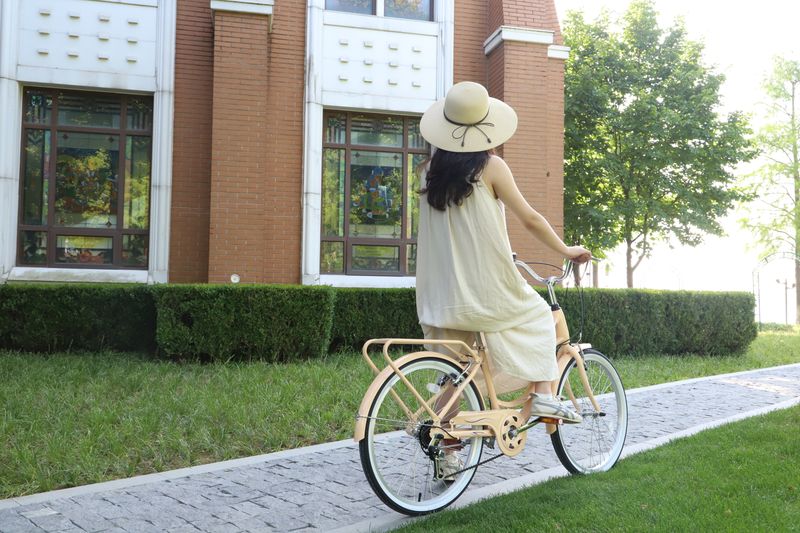 7 Speed, Steel Frame, Multiple Colors 24 Inch Ladies Bicycle_voghion.com
