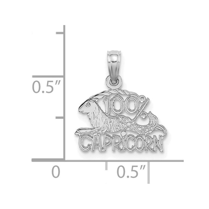 14k WG 100% CAPRICORN Zodiac Charm_voghion.com