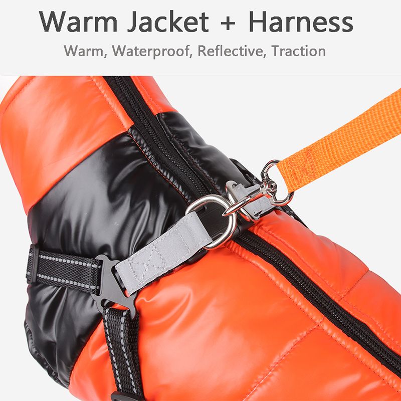 Jaqueta para cachorro com peitoral, roupa quente de inverno para cães pequenos e médios, casaco impermeável para animais de estimação, fantasia para chihuahua, francês da loja PawParty_voghion.com