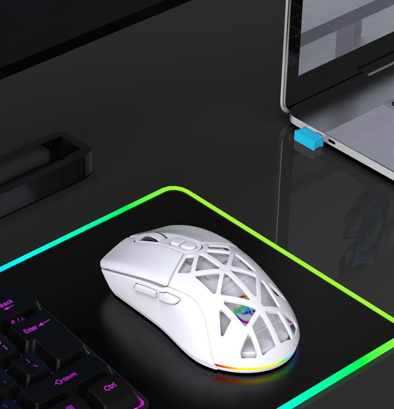 T26 Dual-Mode-Funkmaus RGB-Hintergrundbeleuchtung Aufladen Aushöhlen Austauschbare Rückseite Gaming Büro Computer Laptop_voghion.com