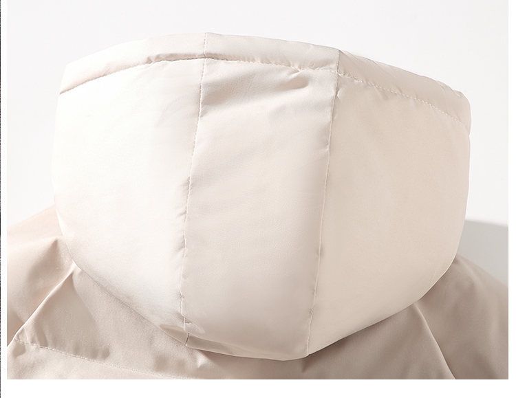 "Korean Streetwear Hooded Puffer Jacket – Thickened Cotton Winter Coat With Slim Fit Silhouette ( Detachable Fur Trim, Y2K Revival)"_voghion.com