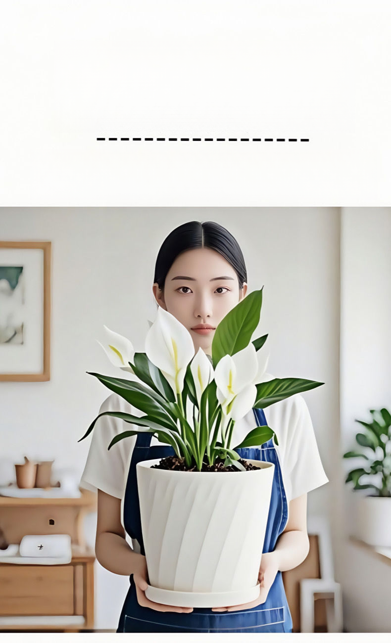 Pianta grassa verde in vaso piccolo, minimalista, addensata, in resina creativa, doppia, in vaso piccolo._voghion.com