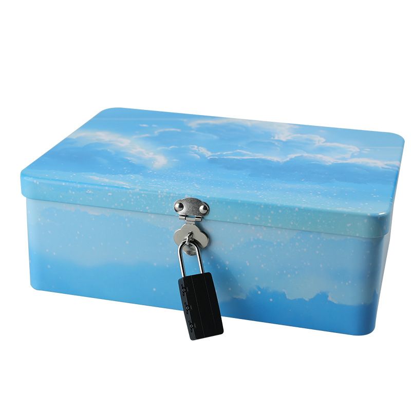 Sexy Intimates Iron One-Piece Flip Password Suitcase Packing Neutral Hidden Rectangular Storage Box_voghion.com