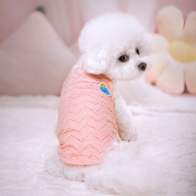 Dünne, süße Hundeweste für Hunde, atmungsaktive Chihuahua-Kleidung für Welpen, Katzenweste, Haustierbedarf von PawParty Store_voghion.com