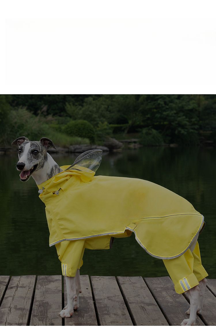 Wakytu UK Grand imperméable pour animaux de compagnie Poncho de pluie Veste imperméable à quatre pattes pour chien de taille moyenne Coupe-vent et imperméable_voghion.com