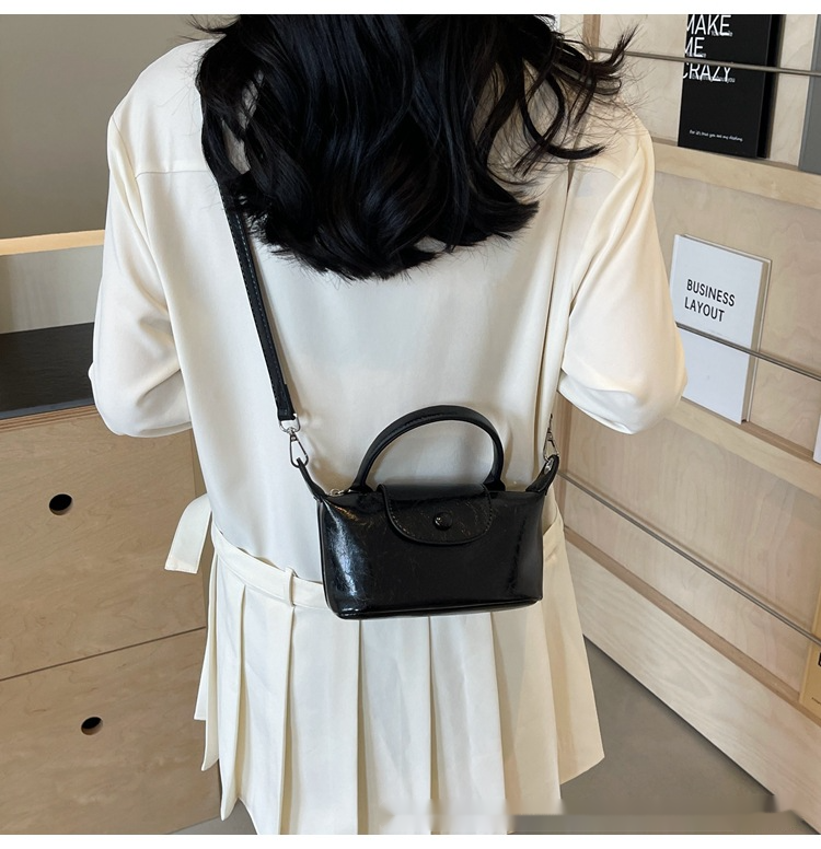 This Year's Popular Small Bags For Women In Spring New Crossbody Bags High-end Hand-held Shoulder Bags Versatile Dumpling Bags_voghion.com