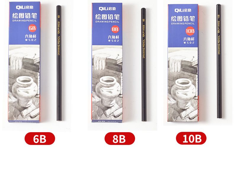 Professional Sketch Pencils Set - 12 Pack Art Graphite Pencils (2H/HB/2B/3B/4B/5B/6B/8B/10B) & Charcoal Pencils (Soft/Medium) For Drawing, Shading_voghion.com