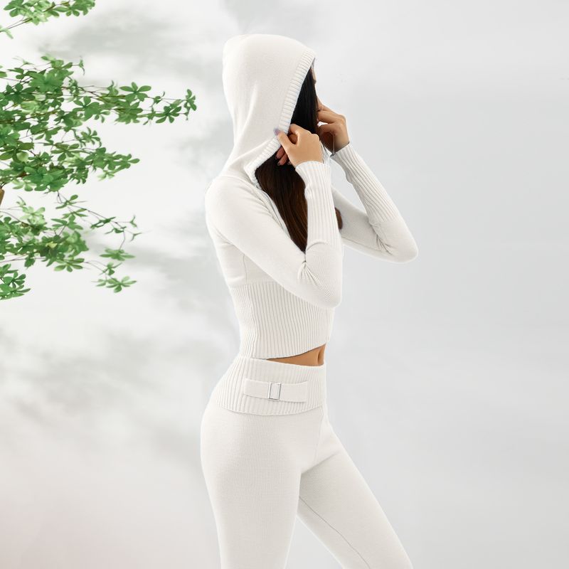 Traje de punto con capucha para mujer, conjunto de dos piezas con pantalones de manga larga y cintura alta, sexy y moderno, estilo europeo y americano, 2023_voghion.com