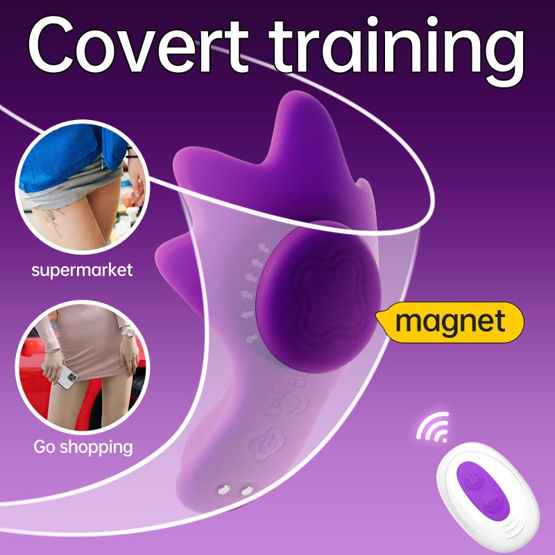 Commercio all'ingrosso di giocattoli sessuali telecomandati per donna, mutandine invisibili indossabili, vibratori a farfalla_voghion.com