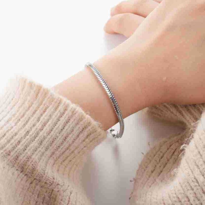 Bracelet serpent carré en acier inoxydable de luxe léger chaîne en os de serpent carré en acier titane bijoux tendance de personnalité_voghion.com