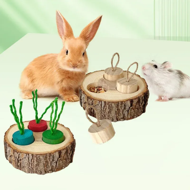 Wooden Round Shaped Parrot Chewing Toy Educational Supplies For Small Pet Birds Parrot Hamster Rabbit Chewing Toys Foraging Toys_voghion.com