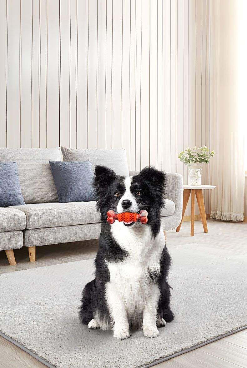 Teething Simulation Bone Pet Indestructible Natural Rubber Dental Cleaning Educational Large Dog Toy_voghion.com