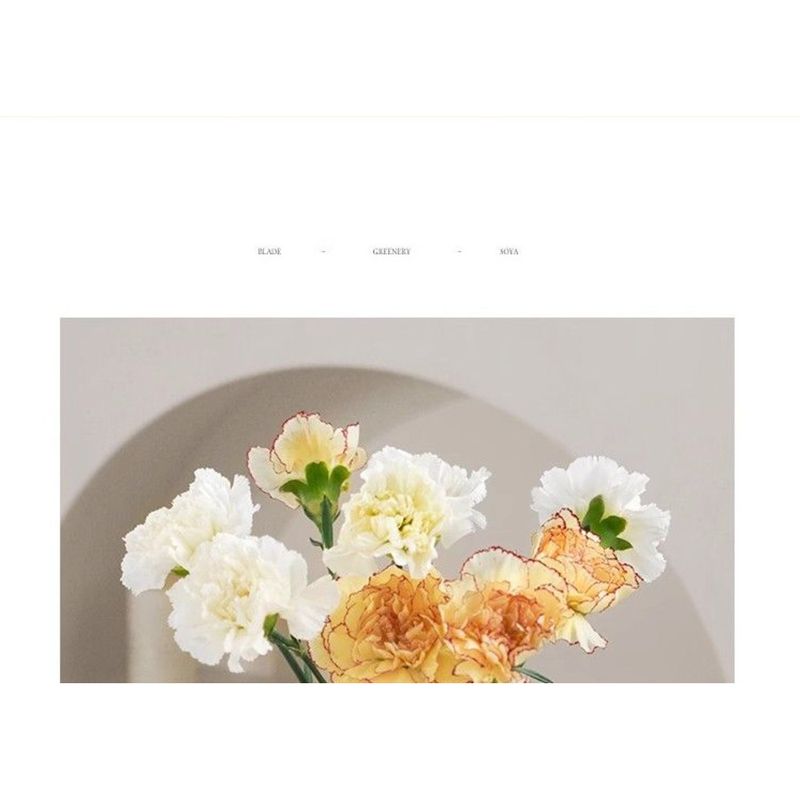 Vaso in vetro minimalista moderno vintage con nicchia, nero, idroponico, fiori freschi, soggiorno, creativo, decorativo di alta qualità_voghion.com