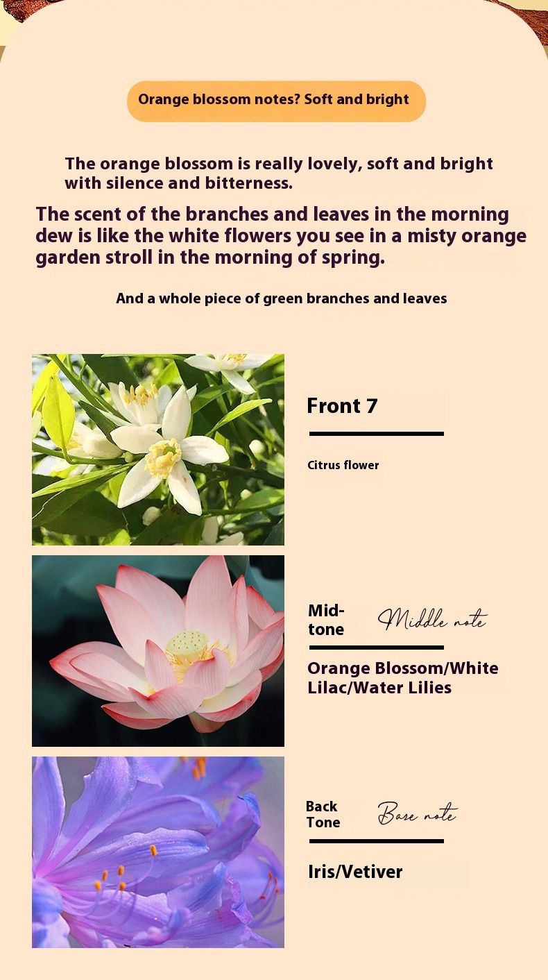 2024. gada jaunās smaržas. Populārās Versailles Garden sieviešu smaržas. Svaigs, salds, ziedu aromāts, noturīgs aromāts._voghion.com