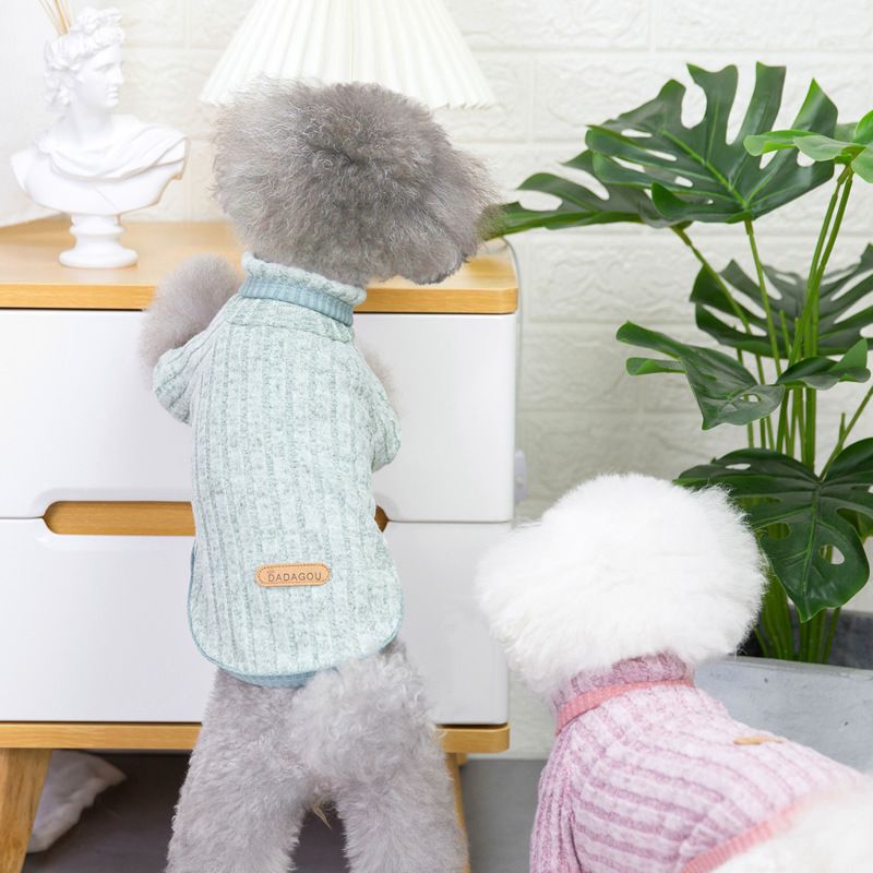Új Teddy kiskutya kisállat ruházat őszi/téli 21 háromszínű alappulóver_voghion.com