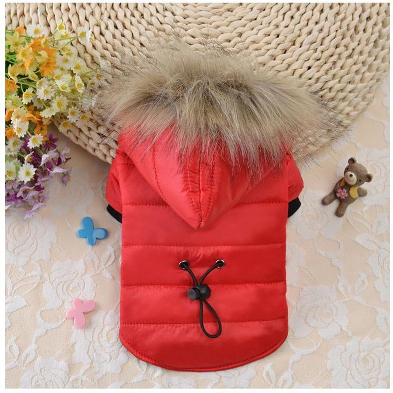 Pet Clothing Witch Coat Jackets Small Dogs Soft Down Coats For Cats And Puppies On Cold Days By PawParty Store_voghion.com