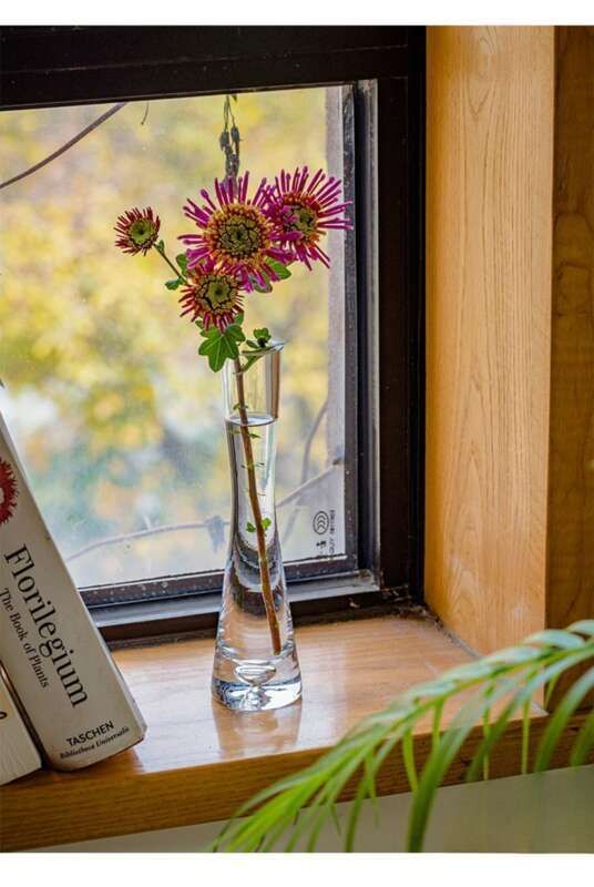 【 46000 People Collected 】 Juhan Nordic Ins High Beauty Arrangement Water Nourishing Small Vase Glass Transparent_voghion.com