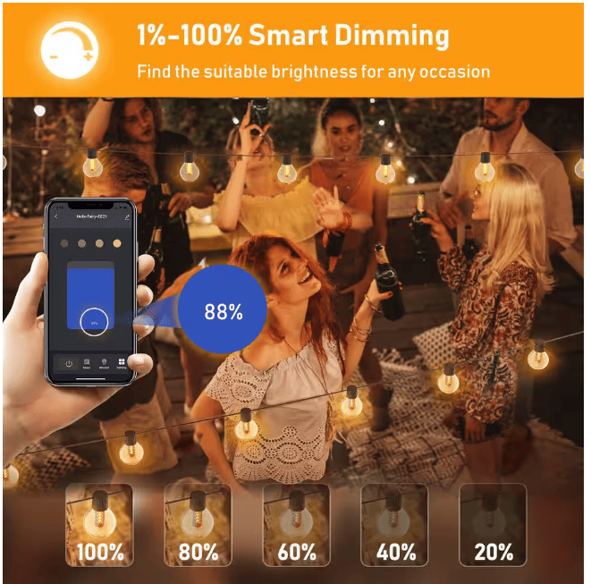 25-light 50ft Indoor/Outdoor Plug-in Integrated LED Globe String Lights With Dimmer Timer, Bluetooth App Control_voghion.com