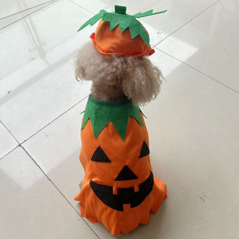 Costume divertente per feste di Halloween per animali domestici, mantello per cani di grossa taglia, cappello a forma di zucca, vestiti per gatti_voghion.com