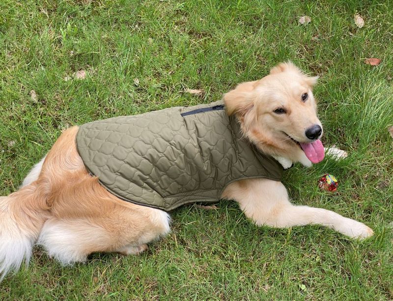 Pocket new pet clothes autumn and winter dog clothes vest cotton coat double sided wearable dog clothes coat clothing_voghion.com