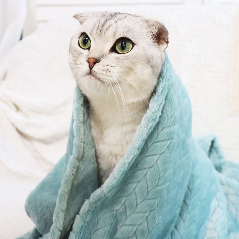 Weizenohr kleine Haustier Katze Nest Matte Hund Wärme Abdeckung Korallen Samt verdickte Decke_voghion.com