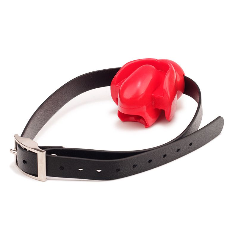 Silicone Salive Sexy Langue Fixe Bâillon Boule Bouche Chaînes Alternative Maître Formation Chien Esclave BDSM_voghion.com