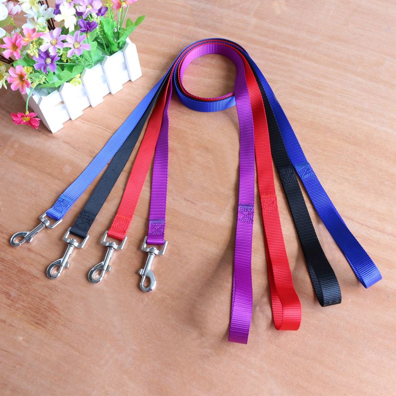 High-Quality Plain Nylon Pet Leash_voghion.com