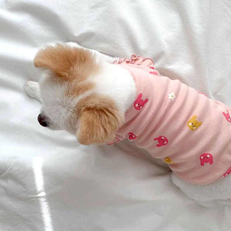 Colete fino de manga voadora para gatos, roupas para cães de duas pernas, para cães pequenos e médios, filhotes e gatos, roupas de outono para animais de estimação_voghion.com