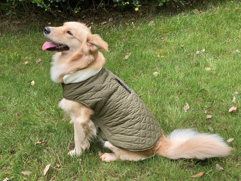 Pocket new pet clothes autumn and winter dog clothes vest cotton coat double sided wearable dog clothes coat clothing_voghion.com