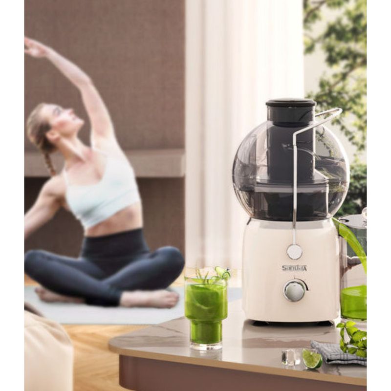 Large Caliber Pulp Separator Household Fully Automatic Multi-Functional Juicer Easy To Clean No Cutting Needed Original_voghion.com