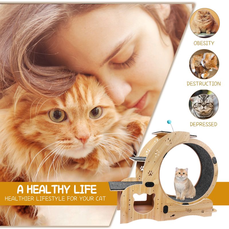 Cat Wheel 6-in-1 Cat Exercise Wheel,Upgraded Cat Wheel Exerciser for Indoor Cats,Large Cat Treadmill,Cat Running Wheel with Silent Wheel,Cat Walking W_voghion.com