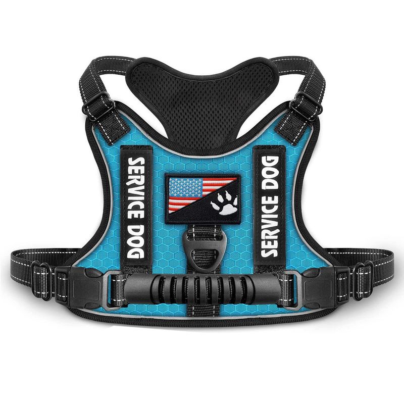 New Explosion-Proof Shock Absorption Night Vision Reflective Pet Chest Harness Vest-Style Leash_voghion.com