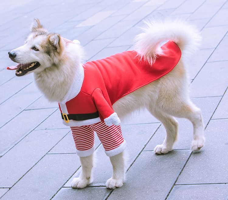 Weihnachten Große hund Katze Santa Claus kleidung hund heimtierbedarf pelzigen lustige zwei füße goldene haar transformation_voghion.com