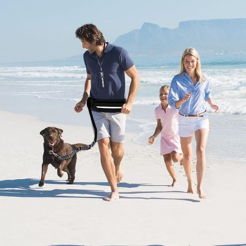 Buitensport Heuptas Riem Reflecterend Elastisch Antibotsing Hardlooptouw Zacht Sterk Duurzaam Huisdier Hond_voghion.com